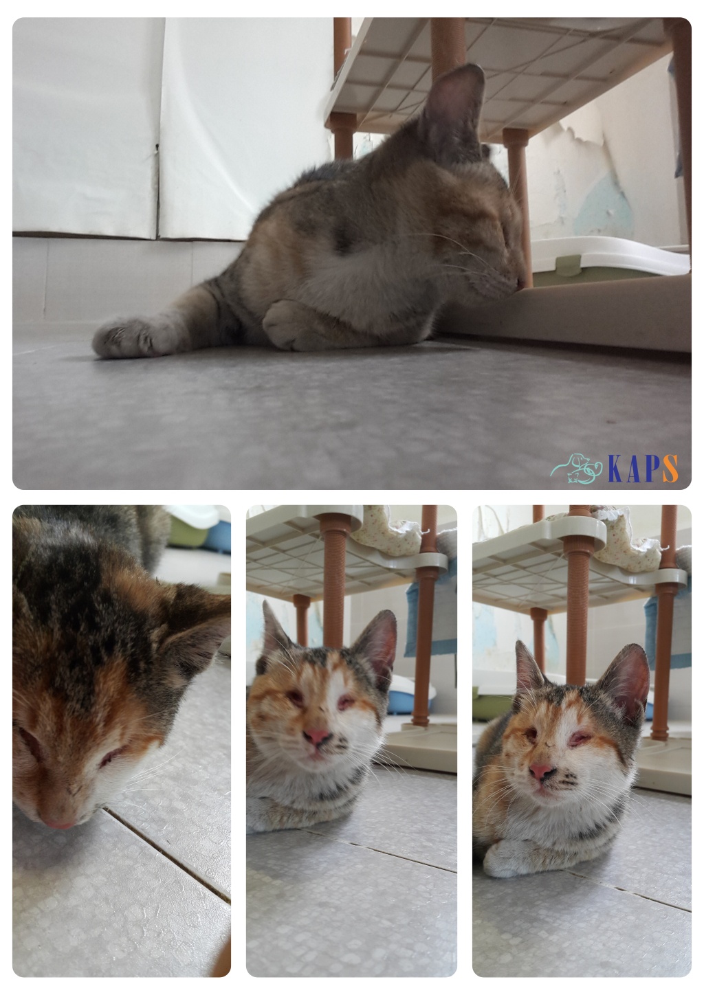 KakaoTalk_20260131_225945134.jpg KakaoTalk_20260131_225945134.jpg