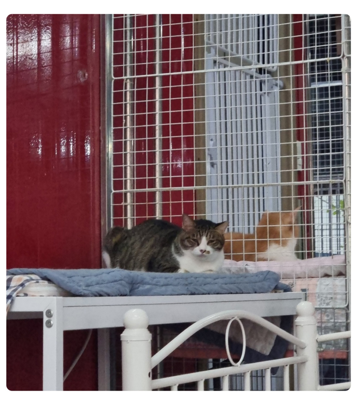 KakaoTalk_20260130_004129292_01.jpg KakaoTalk_20260130_004129292_01.jpg