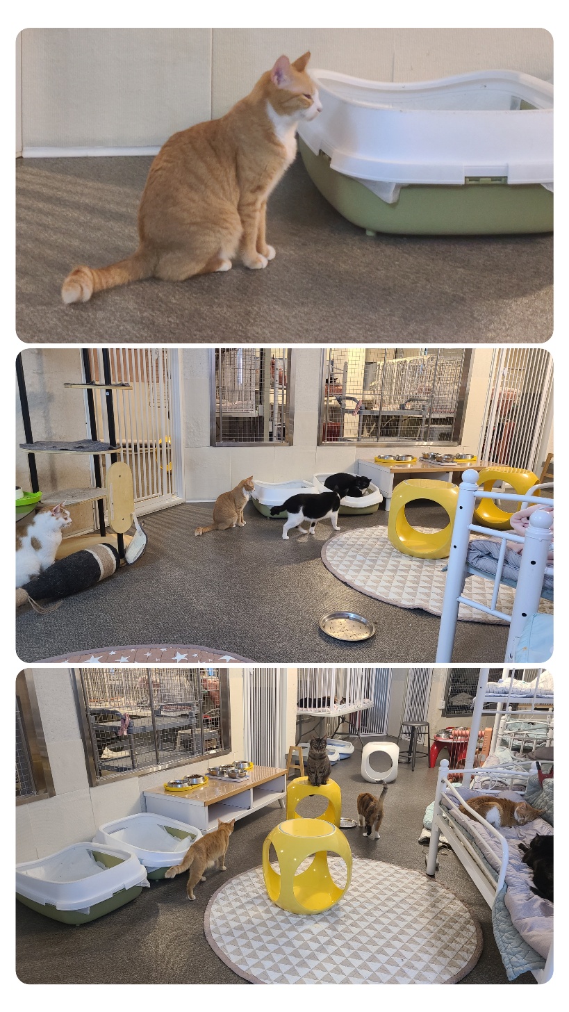 KakaoTalk_20251218_062918929.jpg KakaoTalk_20251218_062918929.jpg