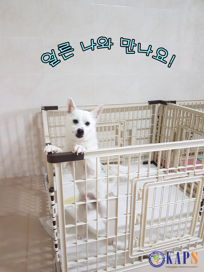 KakaoTalk_20190703_012426587_s.jpg