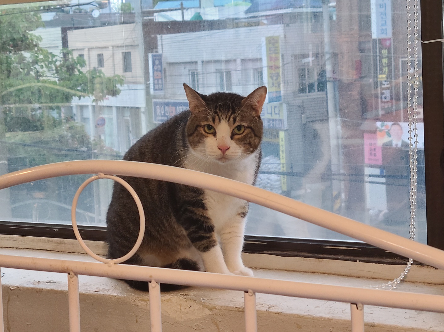 KakaoTalk_20251228_220710587_11.jpg KakaoTalk_20251228_220710587_11.jpg