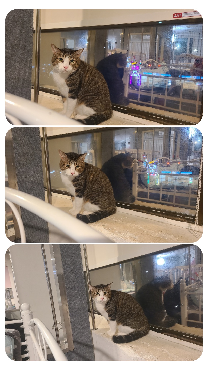 KakaoTalk_20251229_044418819.jpg KakaoTalk_20251229_044418819.jpg