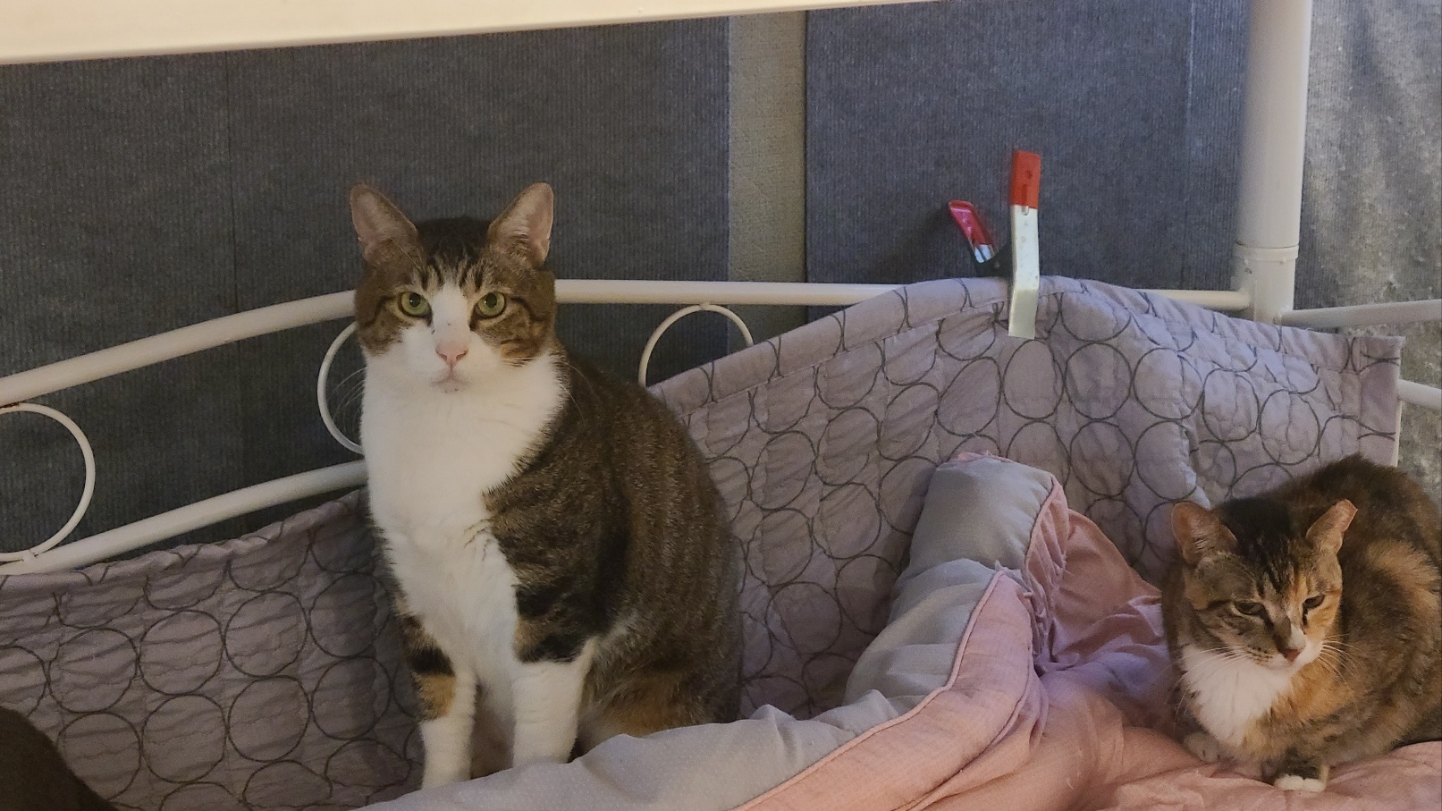 KakaoTalk_20251228_220710587.jpg KakaoTalk_20251228_220710587.jpg