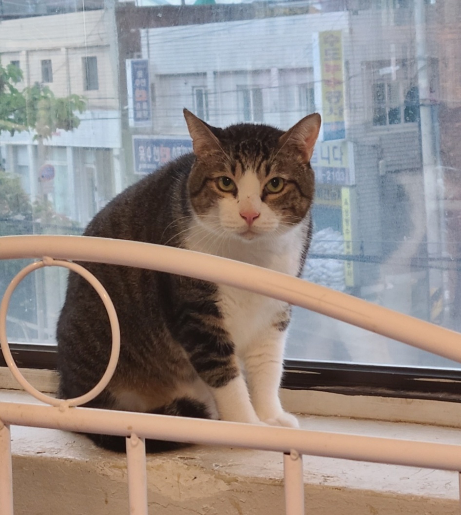 KakaoTalk_20251229_064431752.jpg KakaoTalk_20251229_064431752.jpg