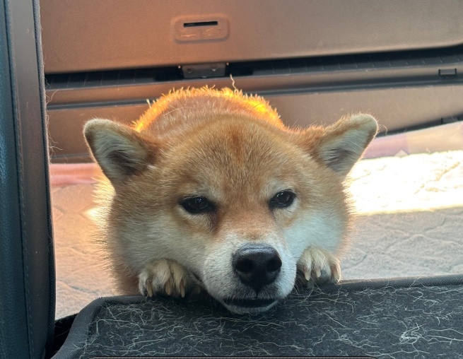 KakaoTalk_20250710_112341289_07.jpg