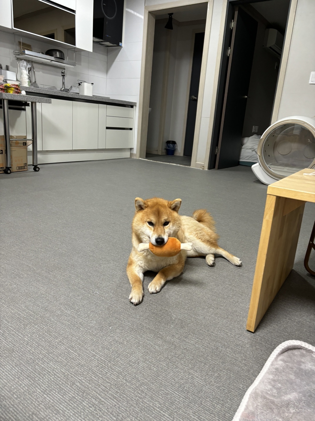 KakaoTalk_20250710_112341289_01.jpg
