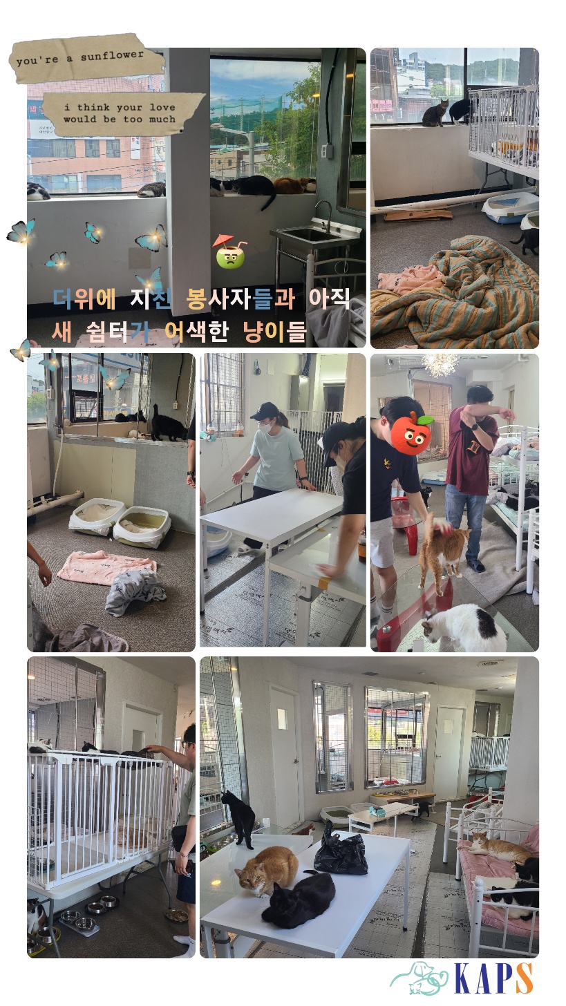KakaoTalk_20251201_182410549.jpg