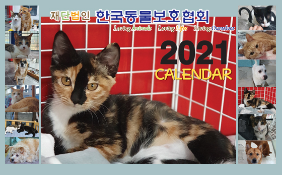 2021카렌다_대문.jpg