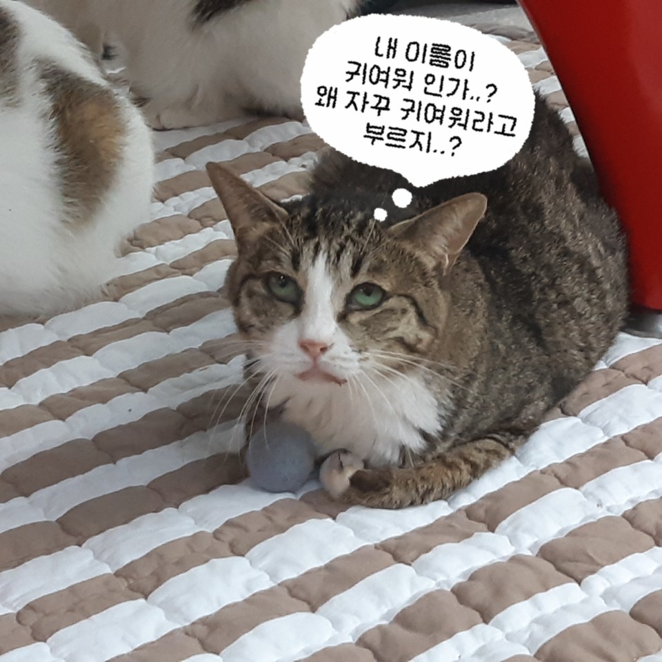 KakaoTalk_20190719_204529258_01.jpg