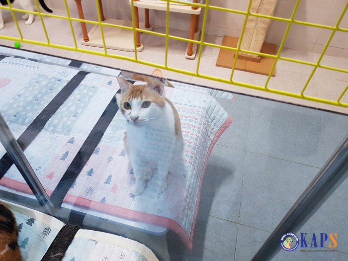 KakaoTalk_20190705_211952086_s.jpg