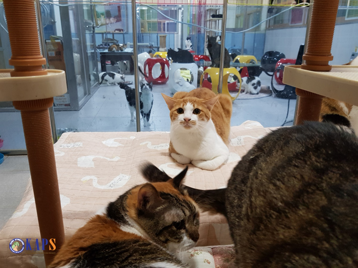 KakaoTalk_20190123_235544972_s.jpg