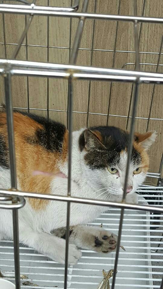 KakaoTalk_20170814_185637411.jpg