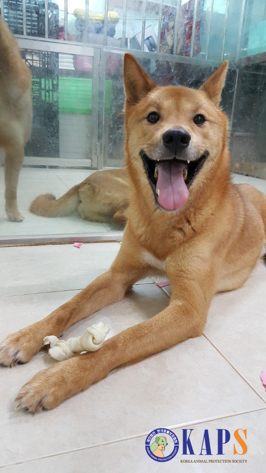 KakaoTalk_20180509_001417246.jpg