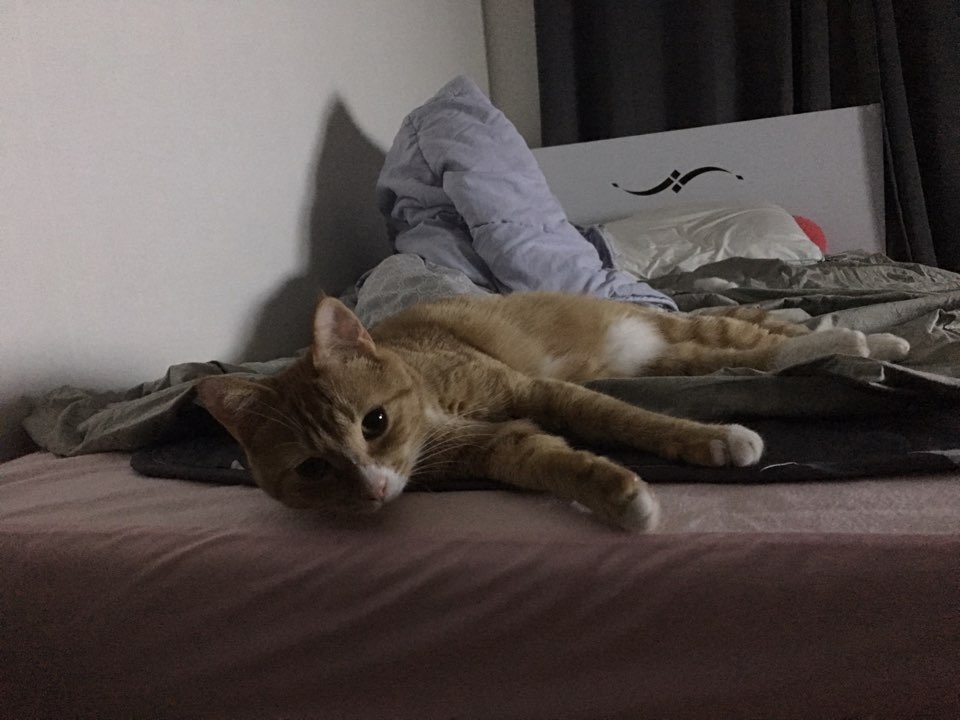 KakaoTalk_20181108_161454747.jpg
