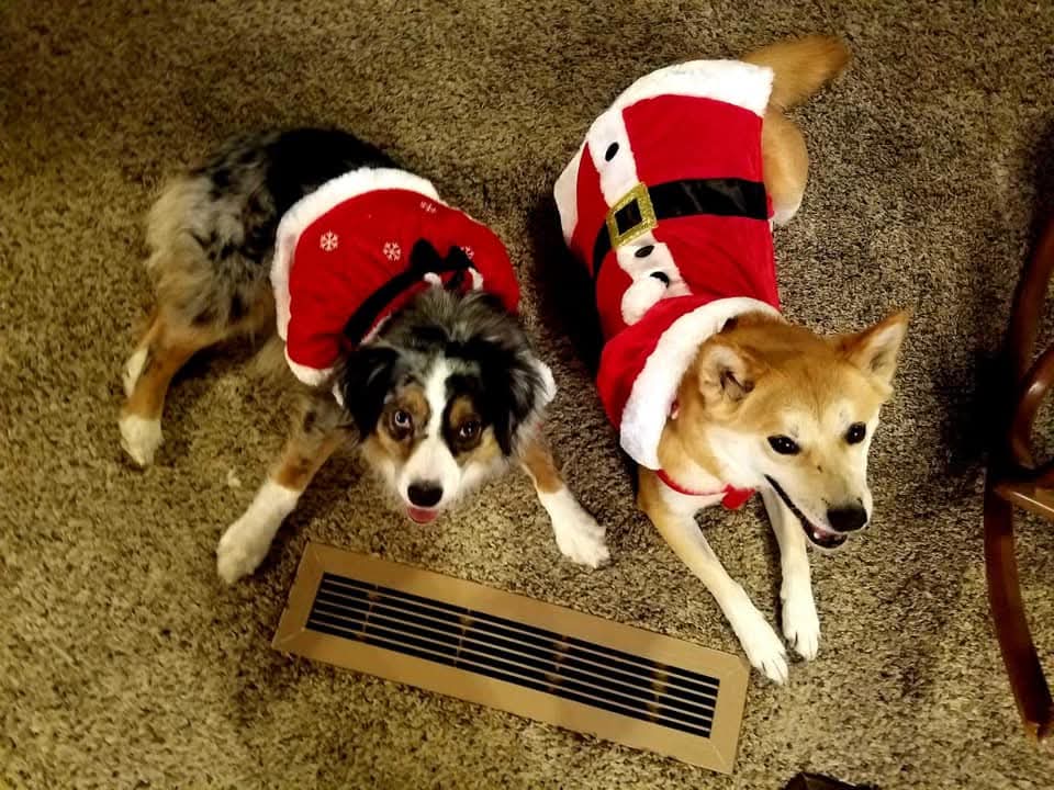 벨라의 최근 모습