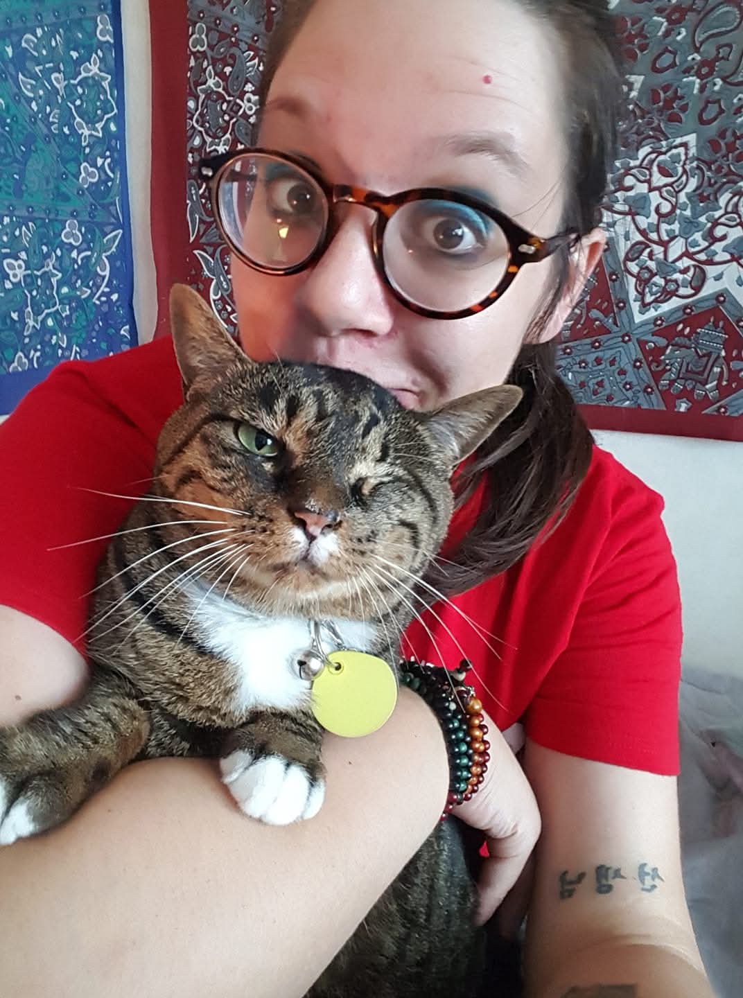 두부의 최근 모습