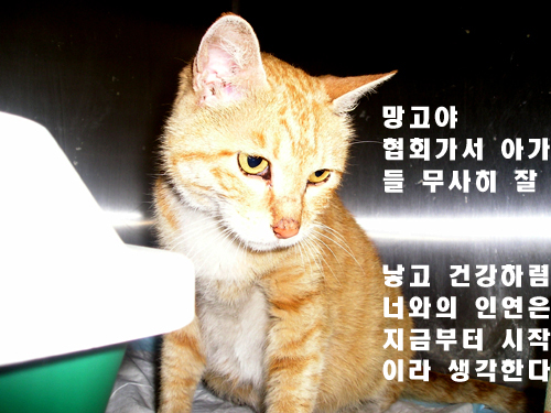 사진_023_1.jpg
