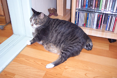 20021211%20005.jpg 20021211%20005.jpg