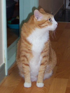 20021211%20006s.jpg 20021211%20006s.jpg