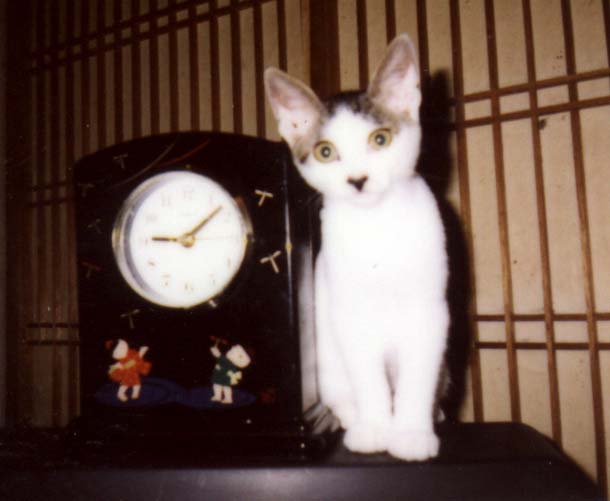 2차백은영동물일기04.jpg 2차백은영동물일기04.jpg