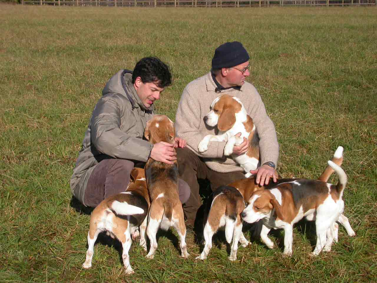 DSCN0348WEB.jpg DSCN0348WEB.jpg