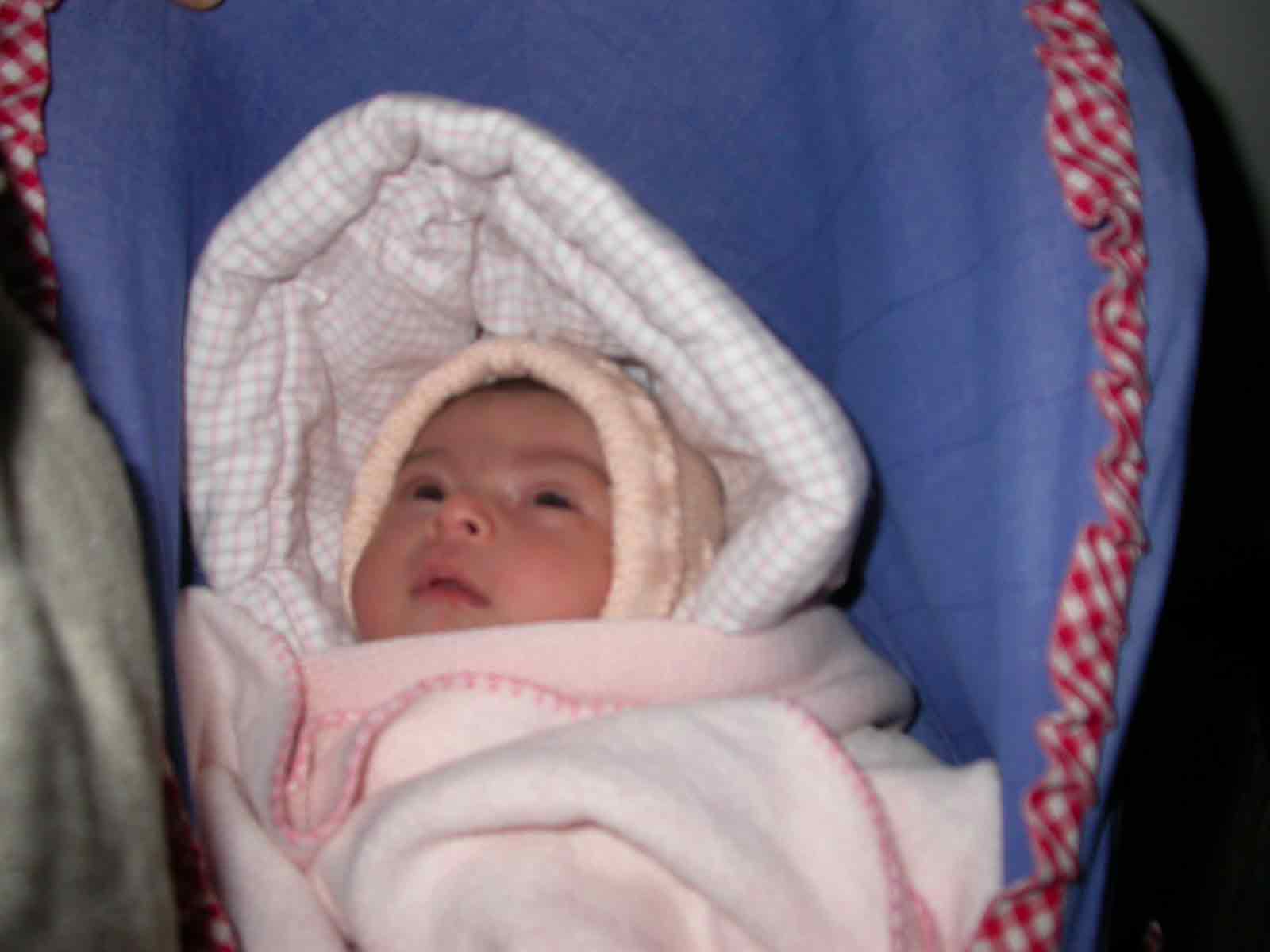 DSCN0369WEB.jpg DSCN0369WEB.jpg