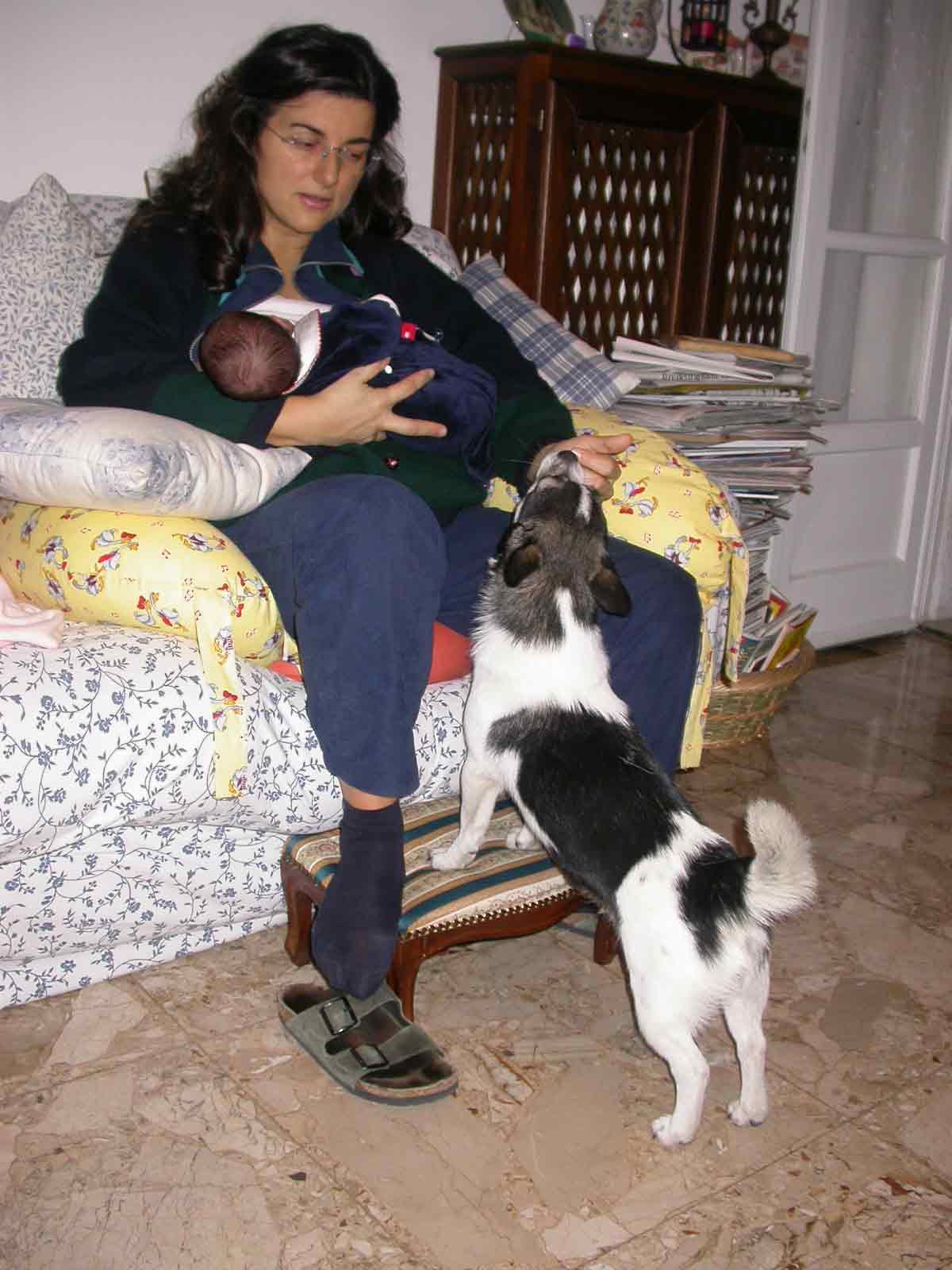 DSCN0387WEB.jpg DSCN0387WEB.jpg