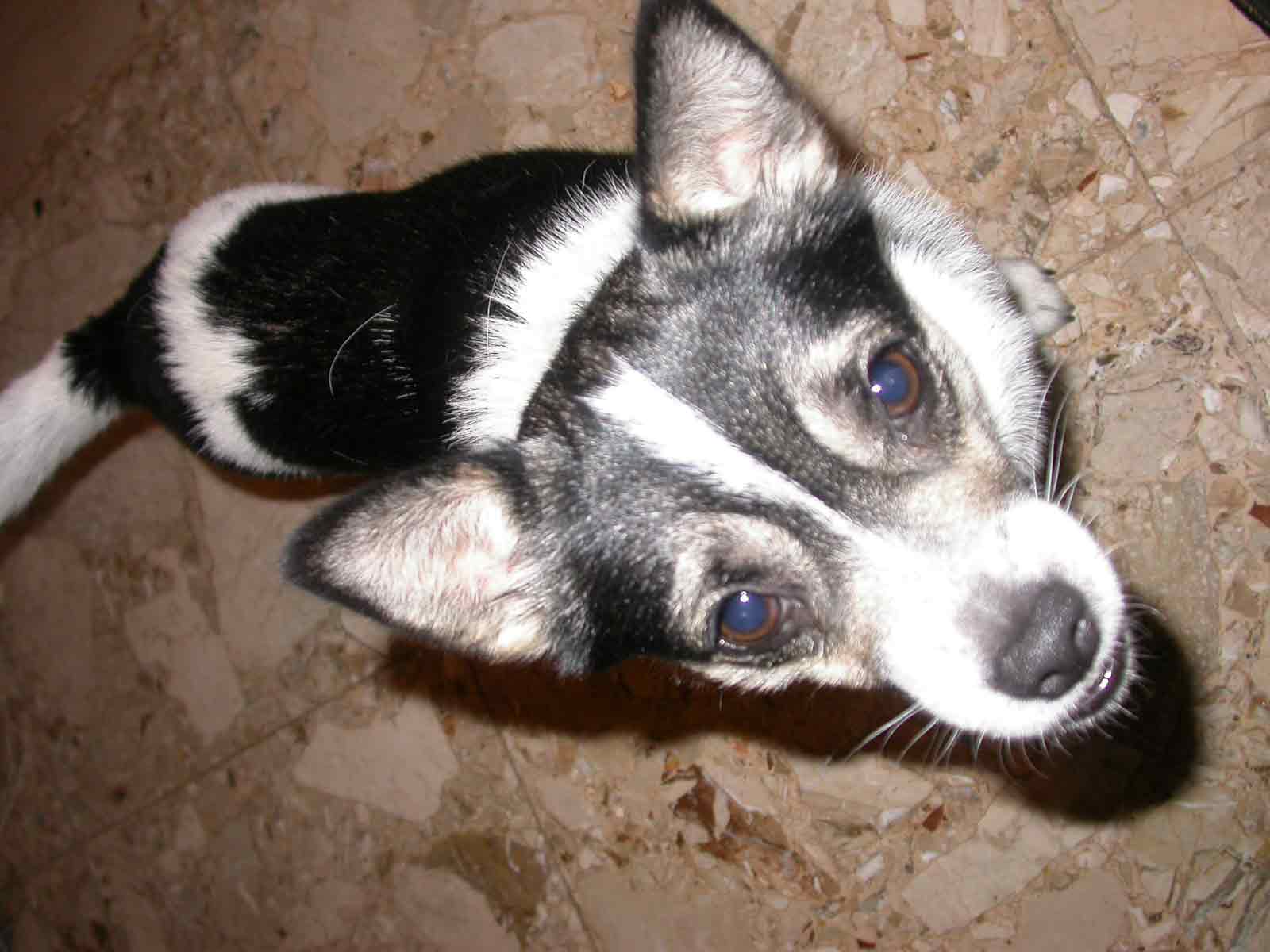 DSCN0390WEB.jpg DSCN0390WEB.jpg