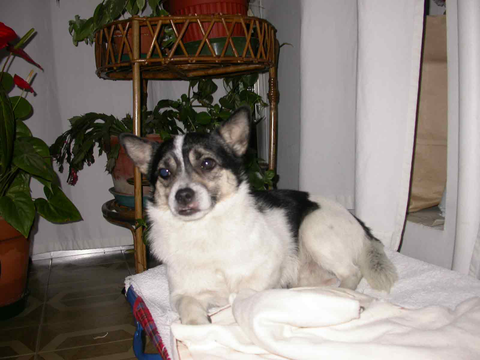 DSCN0413WEB.jpg DSCN0413WEB.jpg