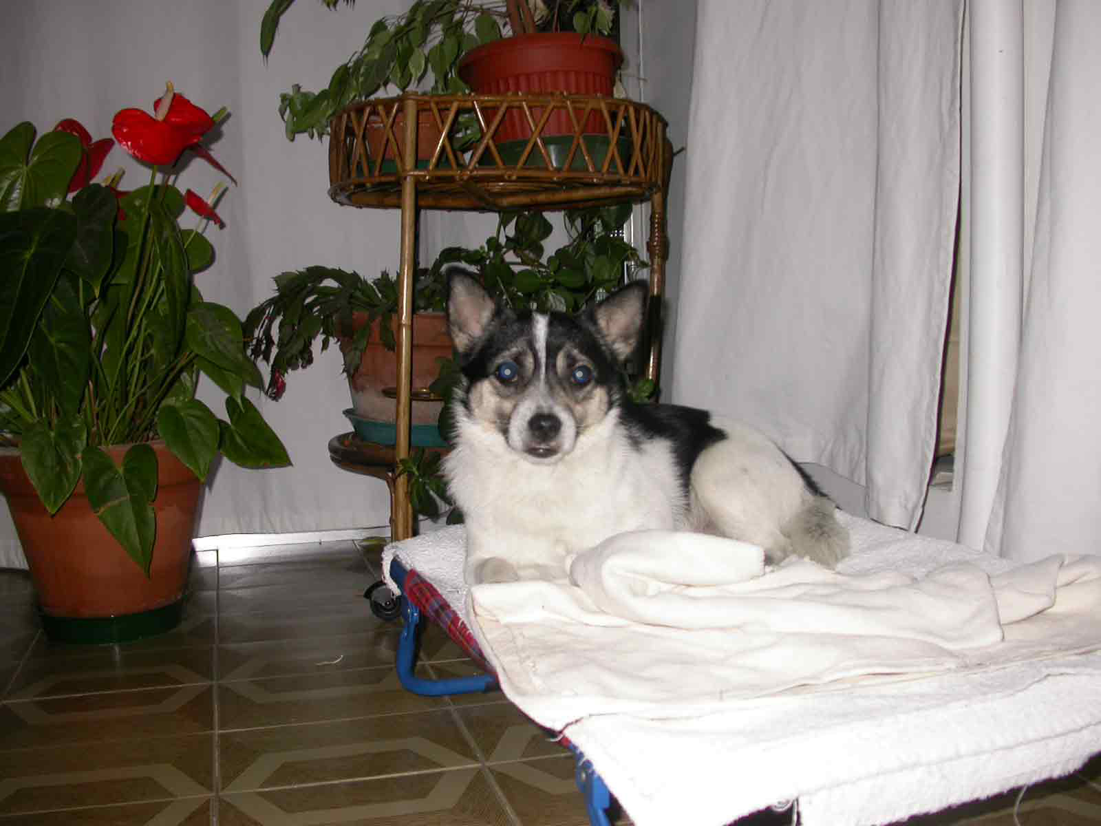 DSCN0417WEB2.jpg DSCN0417WEB2.jpg