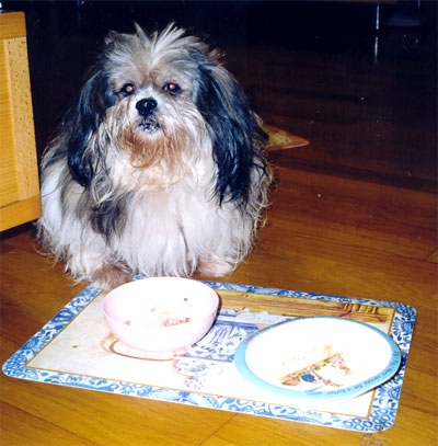 am_story05.jpg am_story05.jpg