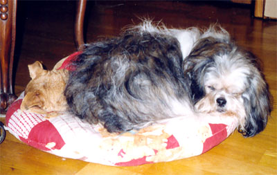 am_story09.jpg am_story09.jpg