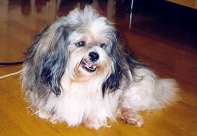 am_story10.jpg am_story10.jpg