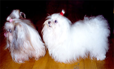 am_story12.jpg am_story12.jpg