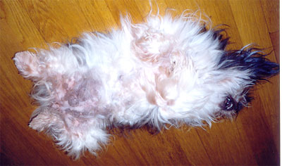 am_story15.jpg am_story15.jpg