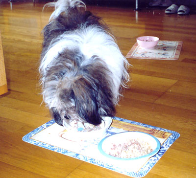 am_story16.jpg am_story16.jpg