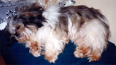 am_story17.jpg am_story17.jpg