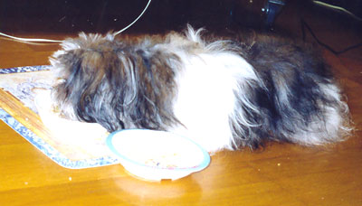 am_story18.jpg am_story18.jpg