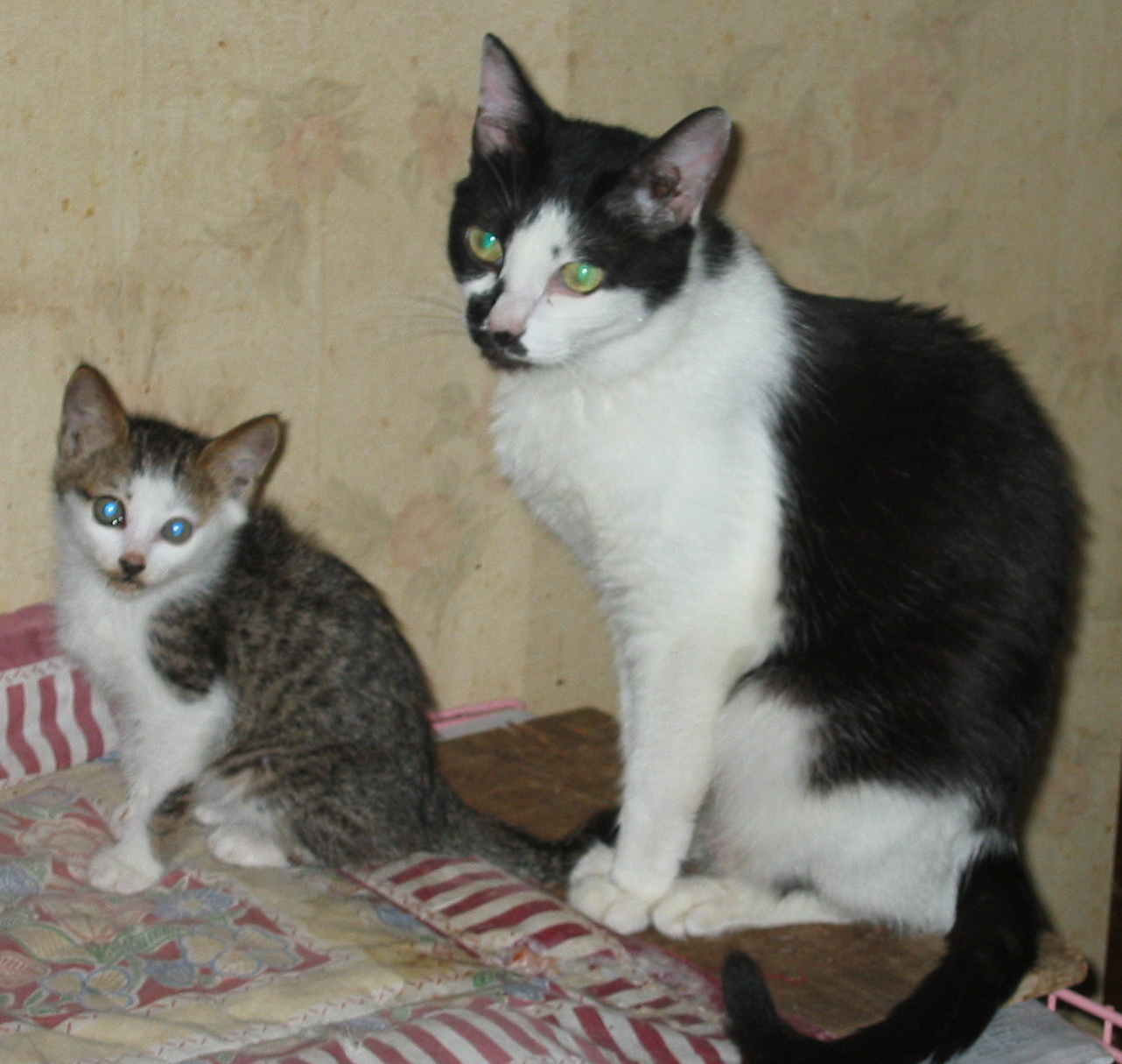 fill11.jpg fill11.jpg