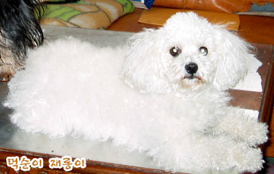 jaerong.jpg jaerong.jpg