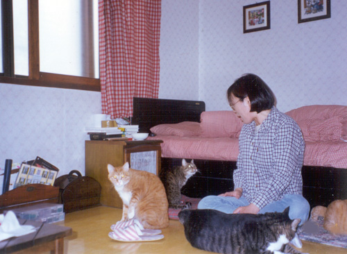 juyoungcat04.jpg juyoungcat04.jpg