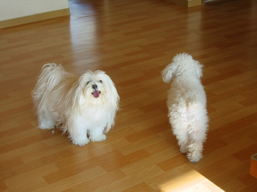 pangjaerong2.jpg pangjaerong2.jpg