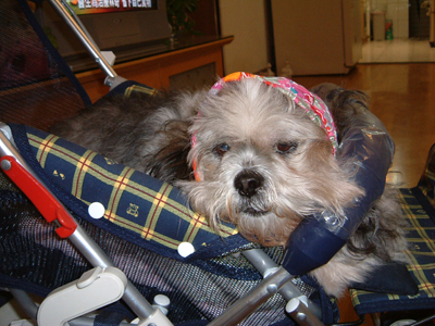 가비라이방011s.jpg 가비라이방011s.jpg