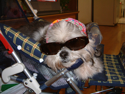 가비라이방015s.jpg 가비라이방015s.jpg