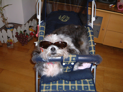 가비라이방017s.jpg 가비라이방017s.jpg