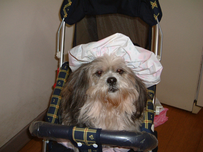 가비 모자와 스카프 019s.jpg 가비 모자와 스카프 019s.jpg