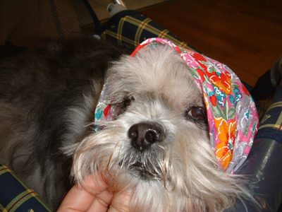 가비모자와스카프022s.jpg 가비모자와스카프022s.jpg